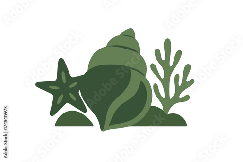 Minimalist composition of green seashell starfish and seaweed