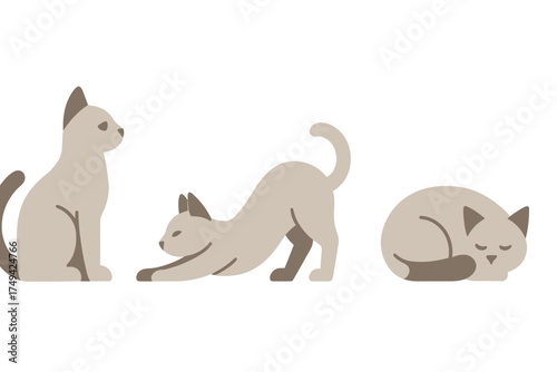 Set of three stylized cats in different poses sitting stretching and sleeping