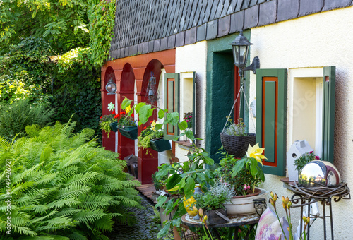 Obraz na plátně Charming cottage facade with lush fern garden and colorful shutters
