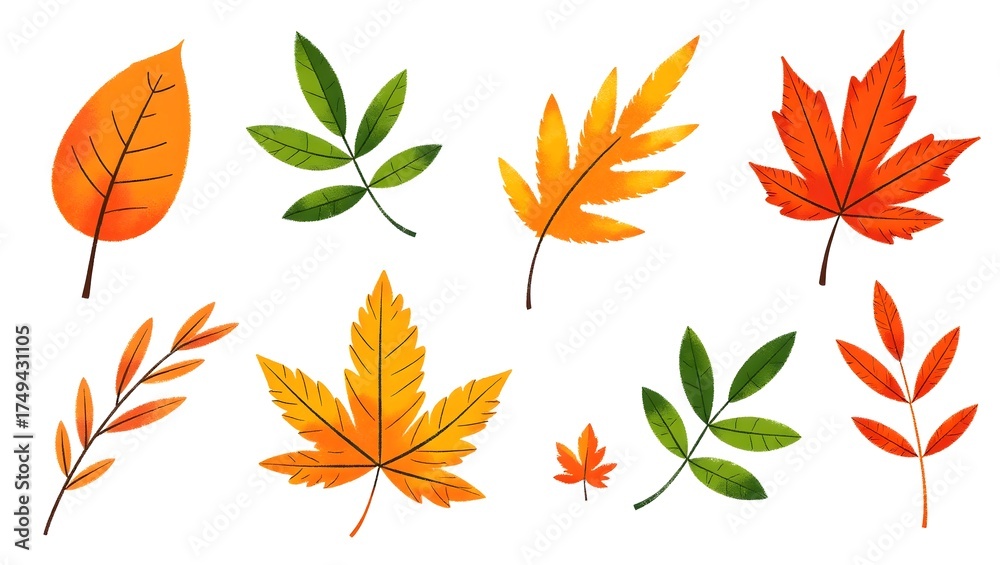 Fototapeta premium set of autumn leaves