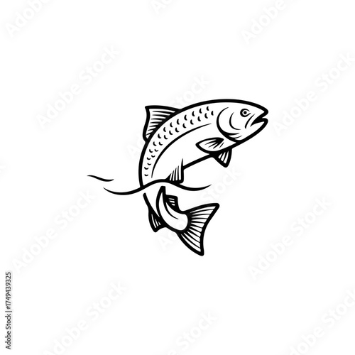 Illustration of a salmon isolated on white background. Design element for emblem, sign, poster, badge. Vector illustration