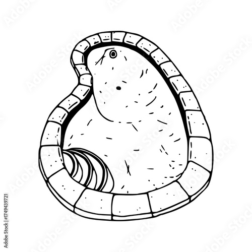 blueprint style drawing of an outdoor water pool