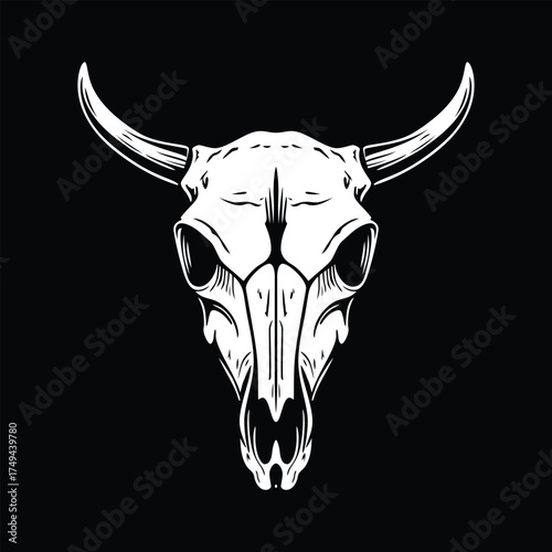 bull skull with horns