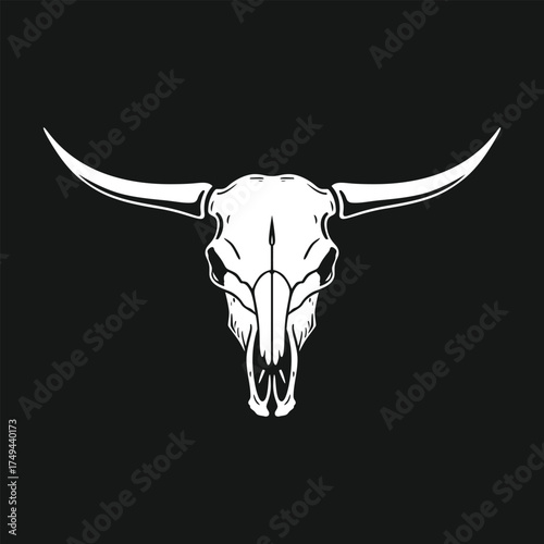skull of a bull