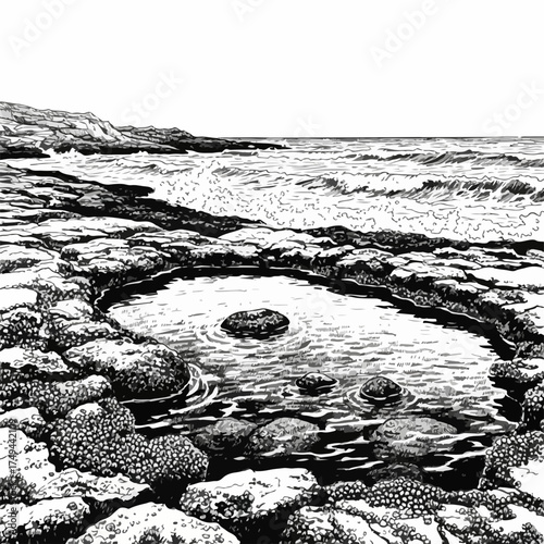 Detailed tide pool illustration, showing calm water basin on a rugged coast. Serene tide pool features small stones, ocean waves break in distance.