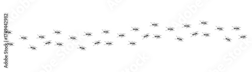 Ant trail. Walking group of black insects. Line of worker ants marching in search of food. Curve footpath of home pest isolated on transparent background. Vector