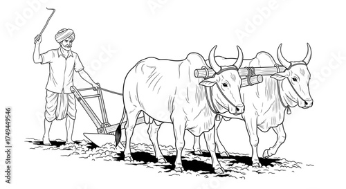 Indian farmer plowing field with two oxen and traditional wooden plow. Black and white line art illustration.