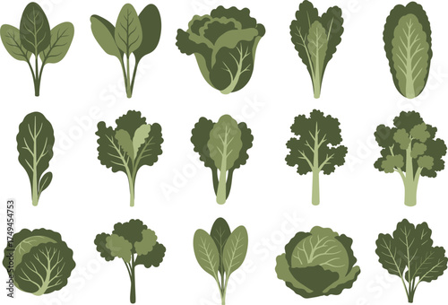 Healthy Greens and Vegetables Icon Collection Vector, Fresh Produce Silhouettes, Flat Food and Nutrition Illustrations
