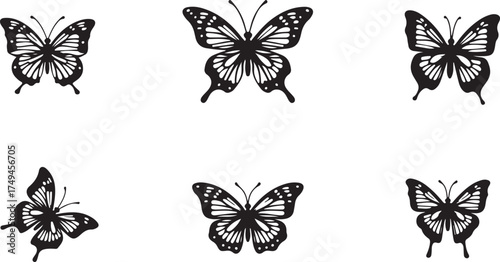 collection of butterflies