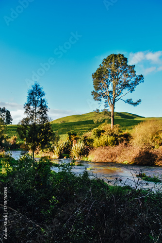 Fotografía del valle verde alrededor de Putaruru Blue Spring en Waikato, Nueva Zelanda.
