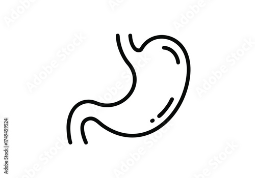 Clean line art illustration of the human stomach, a vital organ for digestion and health, perfect for medical or educational concepts