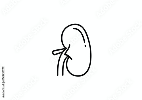 Clean medical icon symbolizing kidney health and organ function for healthcare and wellness projects