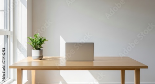 Minimalist Workspace: Laptop, Plant, and Sunlight on Wooden Desk.