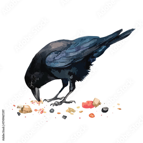 Stylized Black Crow Foraging Food Scraps Vector Illustration.