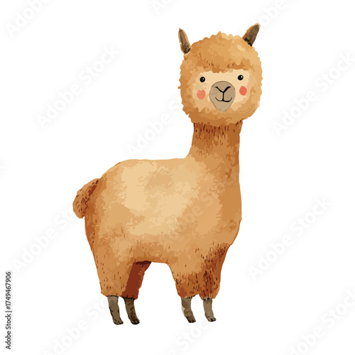Cute Watercolor Alpaca Illustration Adorable Fluffy Animal Character.