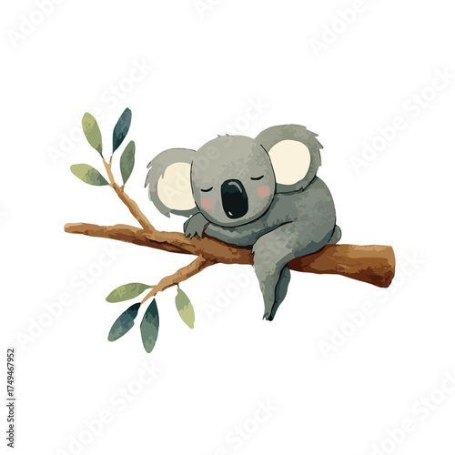 Cute Sleeping Koala on Eucalyptus Branch Watercolor Illustration.
