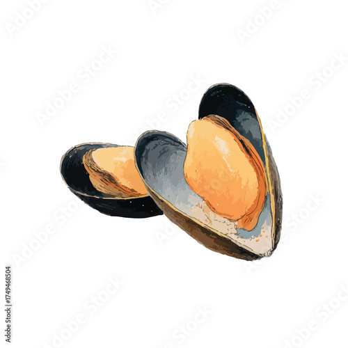 Delicious Open Mussels Illustration Fresh Seafood Delicacy.