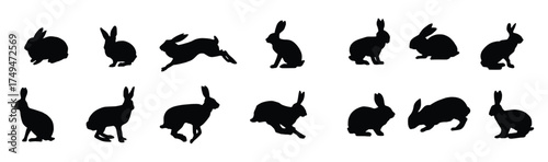 set of rabbits silhouettes vector image