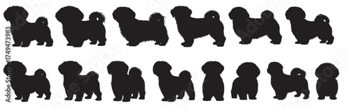  shih tzu dog silhouette white background