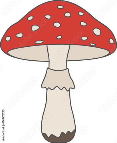 poisonous red mushroom