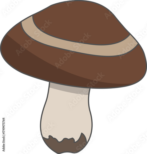 vector illustration of a mushroom
