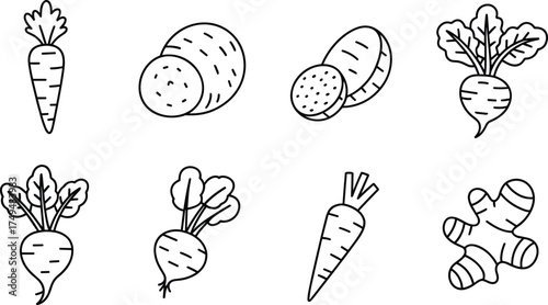 Black and white line art illustration of root vegetables including carrot, beet, potato, and ginger, minimalist organic food design