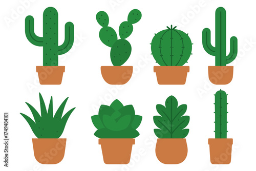 Collection of potted desert plants featuring various green cactus and succulent houseplants