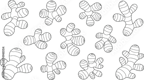 Detailed black and white ginger root illustration set, hand-drawn botanical sketch of fresh organic spice rhizome for cooking and herbal design