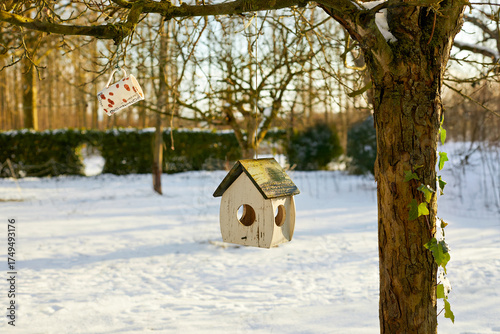 A charming winter scene featuring a small bird feeder in a snowy garden, with a decorative mug hanging from a bare tree branch and ivy on the tree trunk.