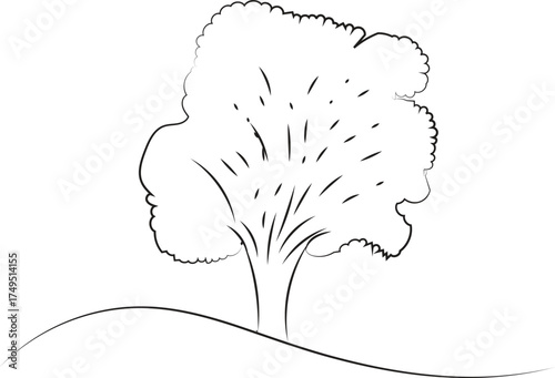 Simple hand drawn sketch of a solitary tree with a full canopy on a gentle hill