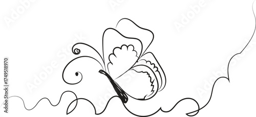 Elegant hand drawn floral flourish with delicate swirling lines and a single bloom