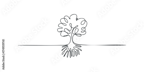 Continuous Line Drawing of a Tree with Exposed Roots