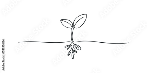 Single line drawing of a seedling with roots and leaves