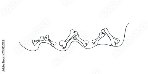 Continuous line drawing of interconnected bones in a sequence