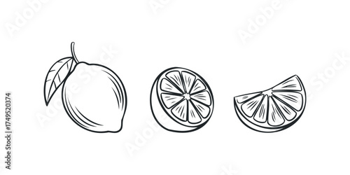 Whole and sliced citrus fruit line art