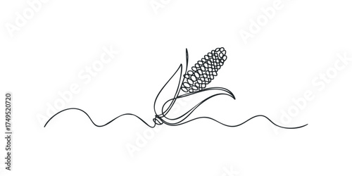 Single continuous line drawing of ripe corn cob with leaves
