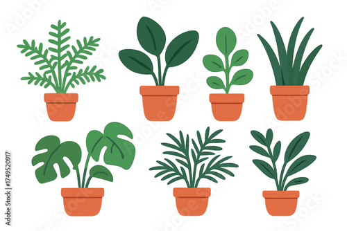 Set of various potted green houseplants and tropical foliage on a white background