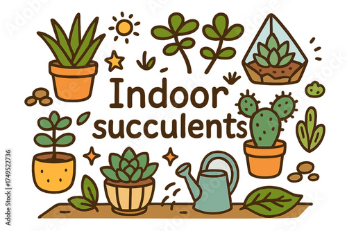 Colorful Indoor Succulents. Indoor succulents. Hand-drawn doodle illustration of Indoor succulents. aloe,