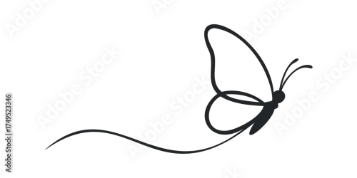 Fototapeta Minimalist single line drawing of a butterfly in flight