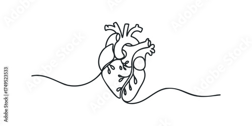 Minimalist single line drawing of a human heart