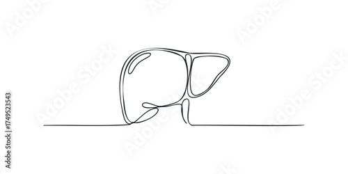 Single line drawing of human liver organ