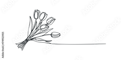Minimalist outline bouquet of tulips tied with string
