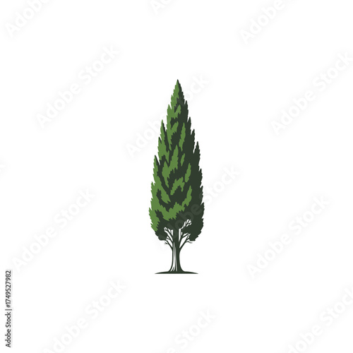 green leaf isolated on white