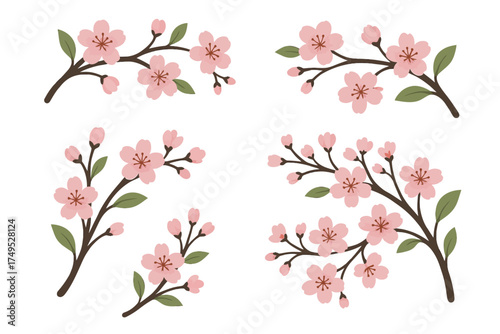 Various sakura cherry blossom branches in full bloom with pink flowers and green leaves