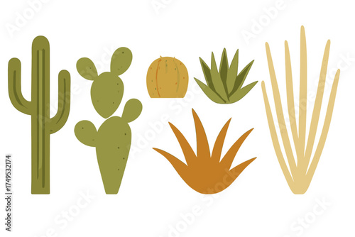 Stylized desert succulents and various cacti plants collection