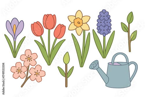 Blooming spring garden set with crocus tulips daffodils hyacinths and watering can