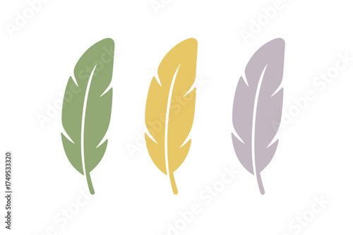 Three decorative stylized feathers in muted pastel colors isolated on white background