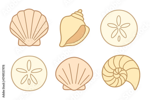 Collection of seashells and sand dollars in soft pastel colors on a white background
