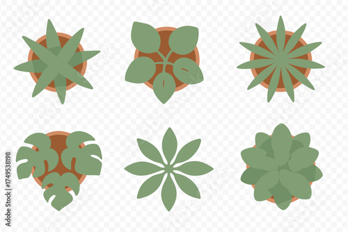 Six different green potted houseplants viewed from above in flat style
