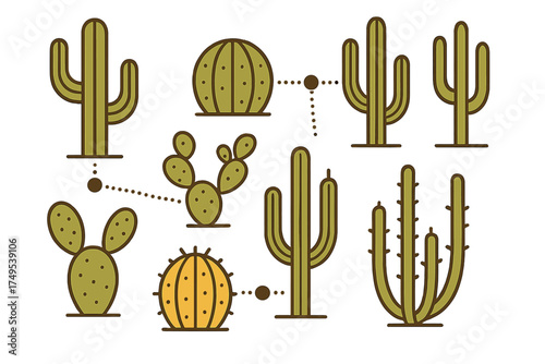 Diverse collection of desert flora featuring Saguaro, prickly pear, and globe cacti in a modern outline style